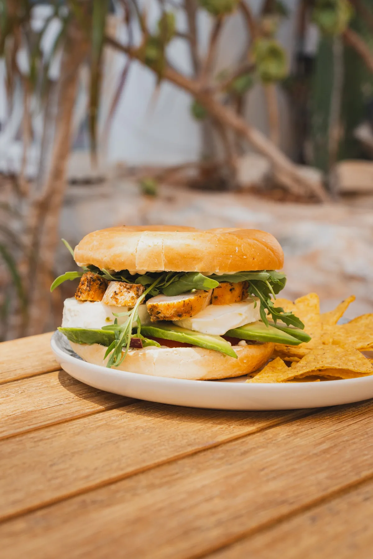 Fresh bagel on the Pinsi’s Picnic terrace